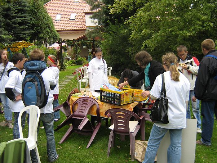 Obraz 047